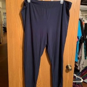 Terra & Sky Leggings size 3x (24-26)